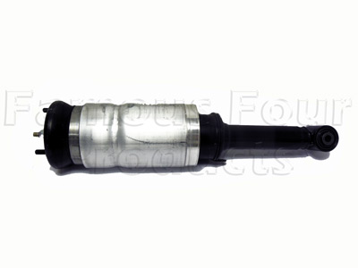 Damper and Air Spring Assembly - Front