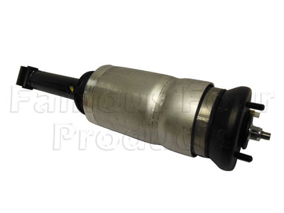 Damper and Air Spring Assembly - Front