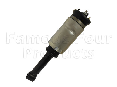 Damper and Air Spring Assembly - Front