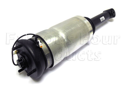 Damper and Air Spring Assembly - Front