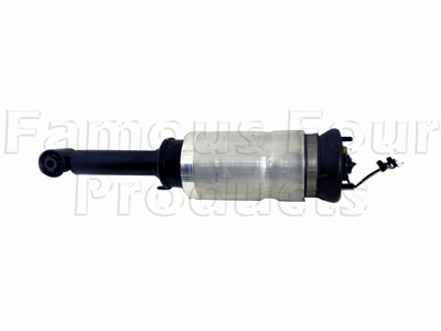 Damper and Air Spring Assembly - Front