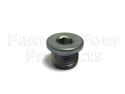 Drain or Filler Plug