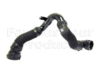 Bottom Hose