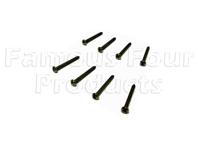 Stainless Steel Light Screw Set