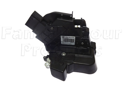 Door Latch Assembly - Rear