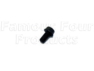 Flywheel Bolt