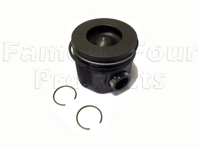 Piston and Rings