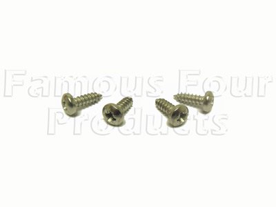 Stainless Steel Screw Kit - for Headlamp Surround Trim Panel