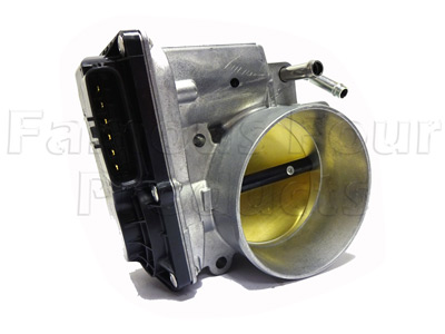 Throttle Body and Motor
