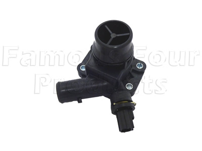 Thermostat in Housing