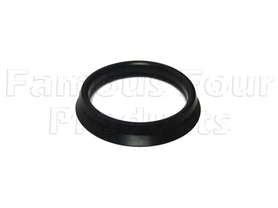 Seal - Front Differential