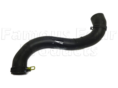 Top Hose - Radiator