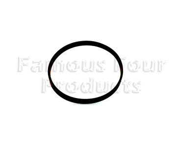 Inlet Manifold Oil Seal