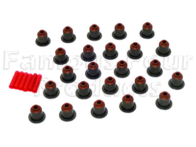 Valve Stem Seal Set
