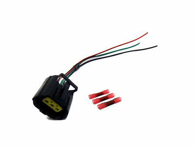 Repair Plug