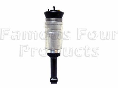 Shock Absorber and Air Spring Assembly