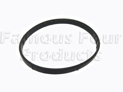 O Ring - Thermostat Housing
