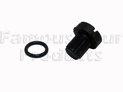Bleed Screw