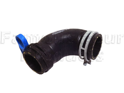 Hose - Thermostat to Cylinder Head