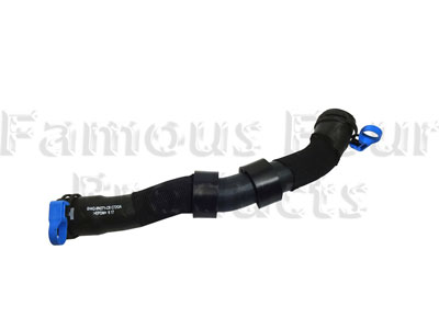 Hose - Thermostat to Connector Assembly
