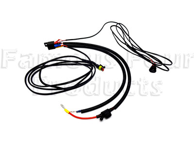 Two Lamp Wiring Harness Kit