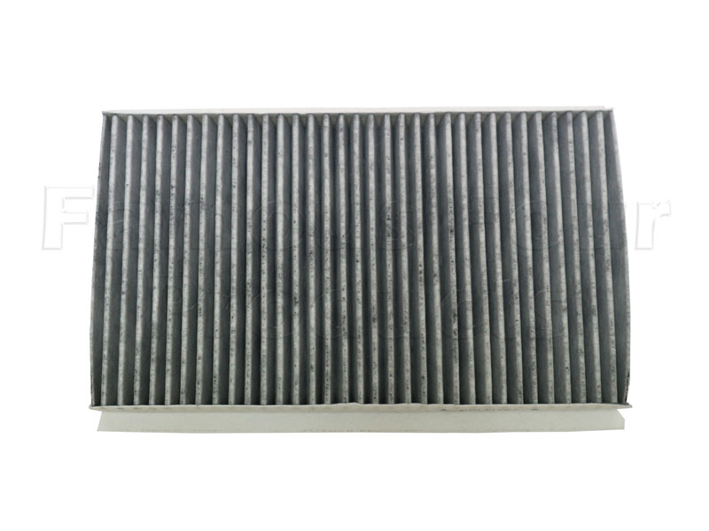 Pollen Filter
