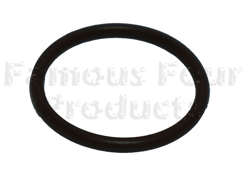 O Ring - Injector