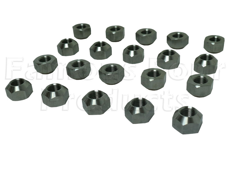 Stainless Steel Wheel Nuts for Steel Wheels - Set of 20