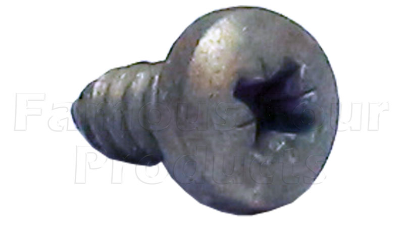 Screw - Self Tapping