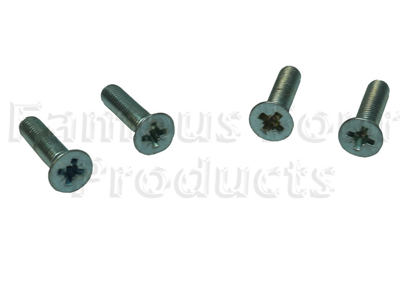Screw for Striker Pin Plates