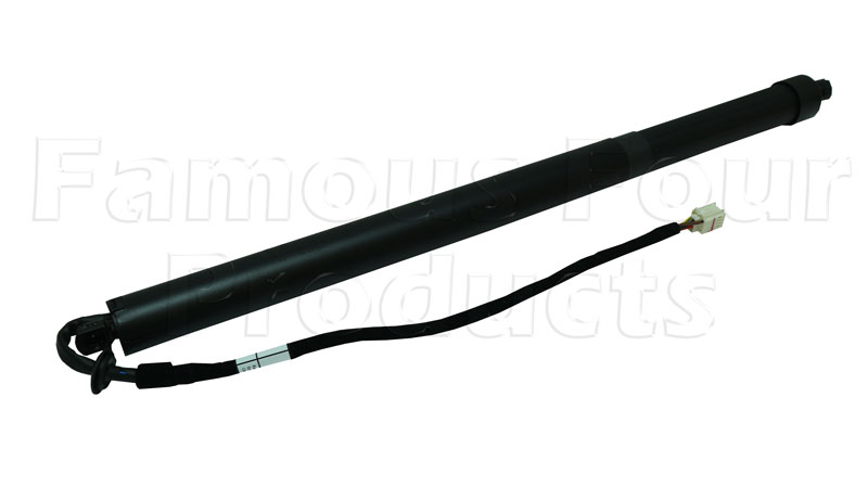 Gas Strut - Tailgate