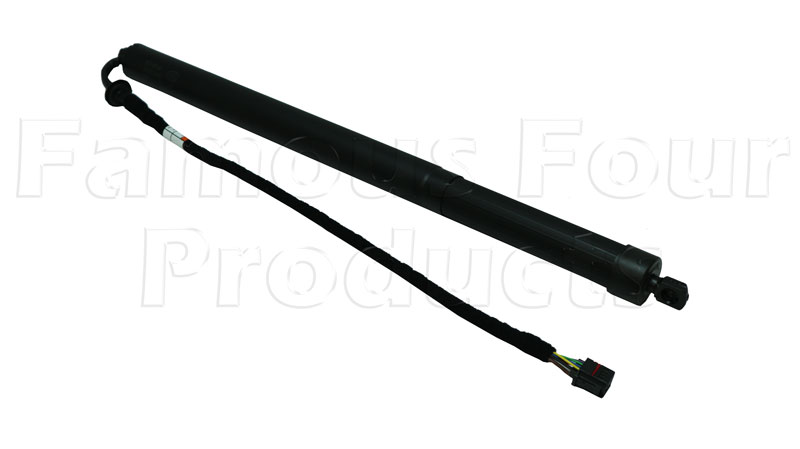 Gas Strut - Tailgate