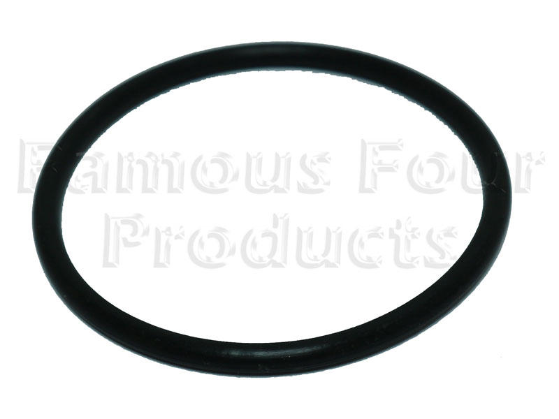 Seal - Front of Throttle Body Housing
