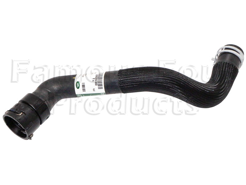 Bottom Hose - Radiator