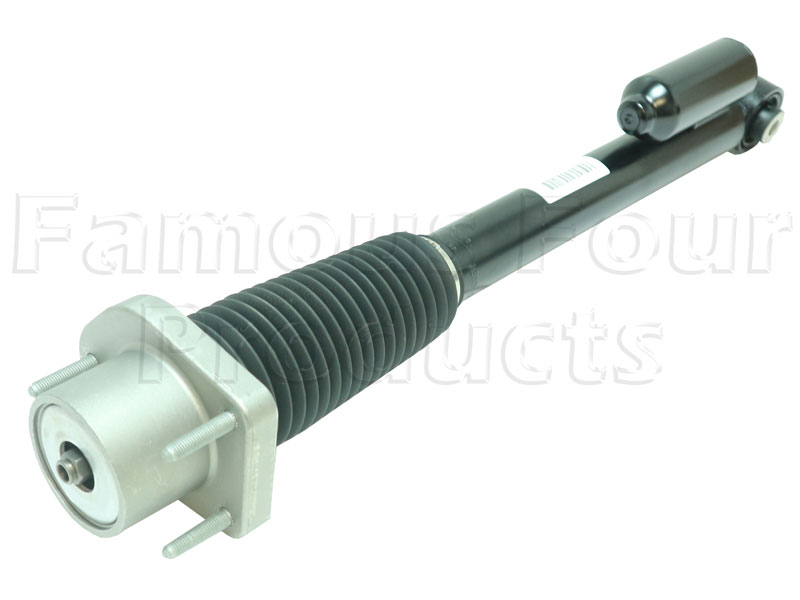Shock Absorber - Rear