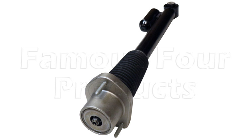 Shock Absorber - Rear