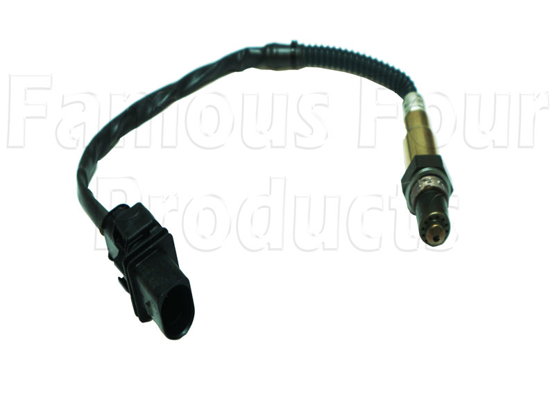 Exhaust Gas Oxygen Sensor