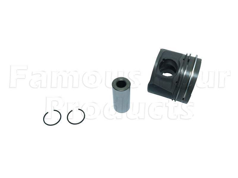 Piston with Piston Rings