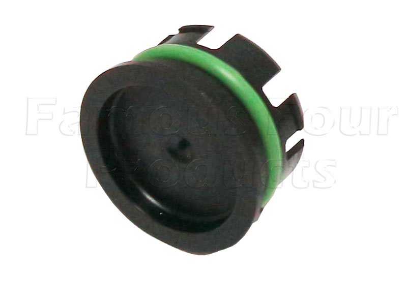 Blanking Plug - Chain Drive
