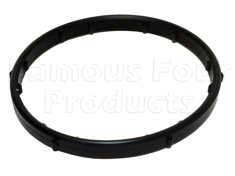 Gasket - Thermostat