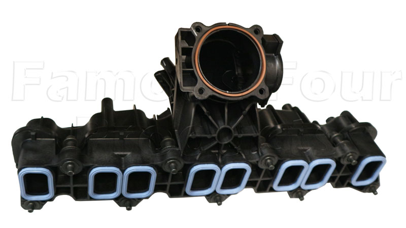 Manifold - Inlet