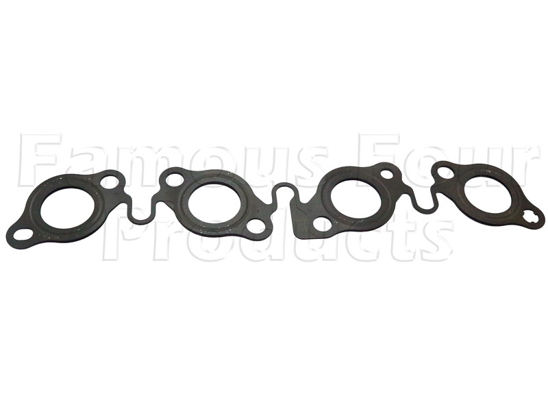 Exhaust Manifold Gasket