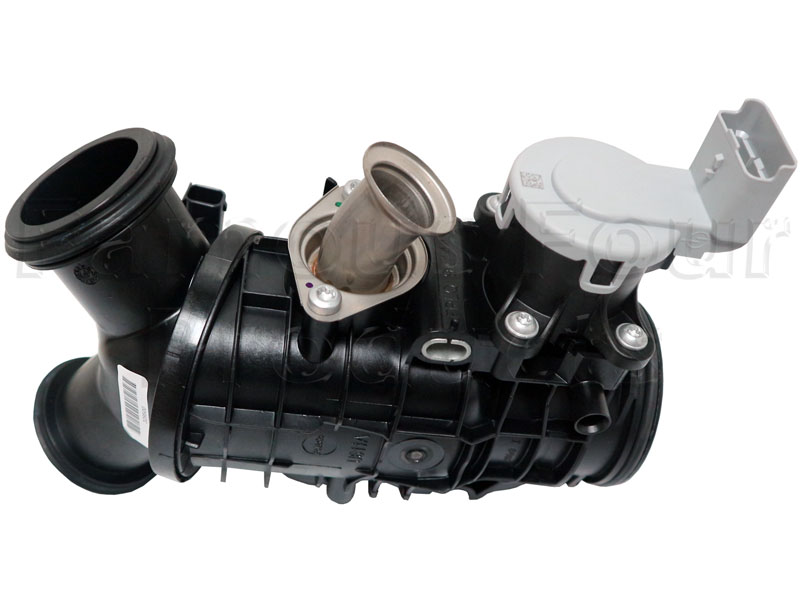 Throttle Body and Motor