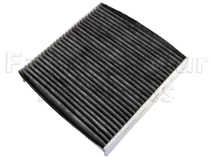 Pollen Filter