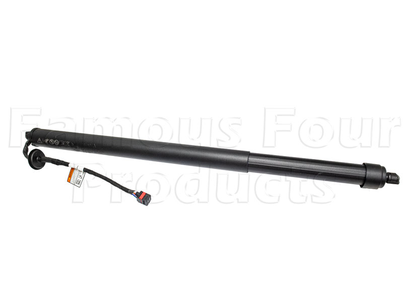 Gas Strut - Tailgate