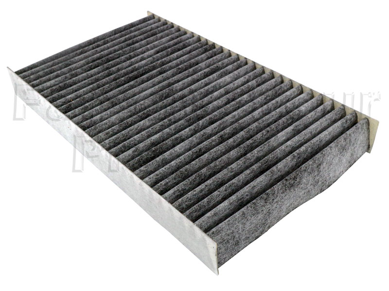 Pollen Filter