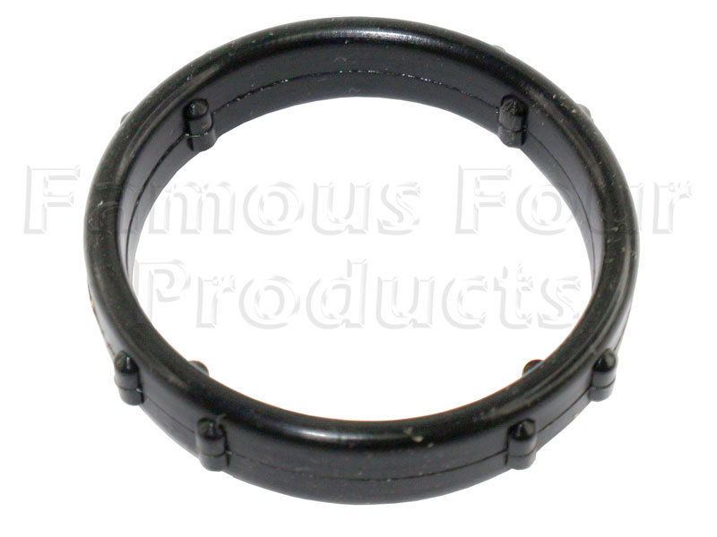 Gasket Ring - Top Hose Outlet Housing
