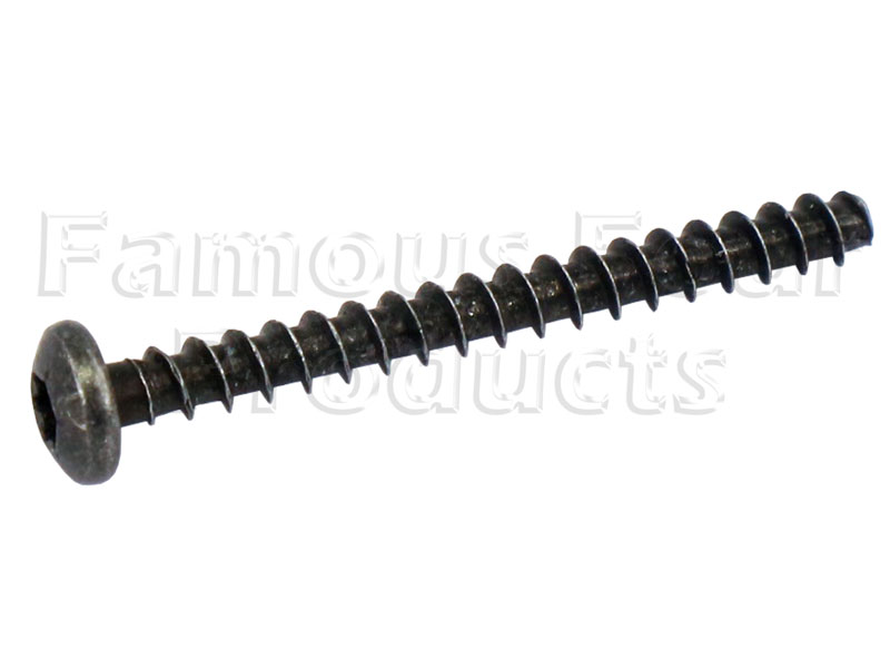 Screw - Electric Motor to Door Mirror