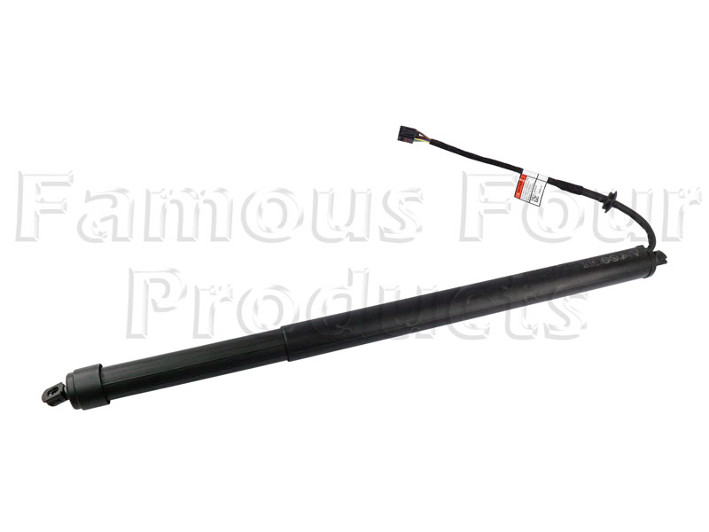 Gas Strut - Tailgate