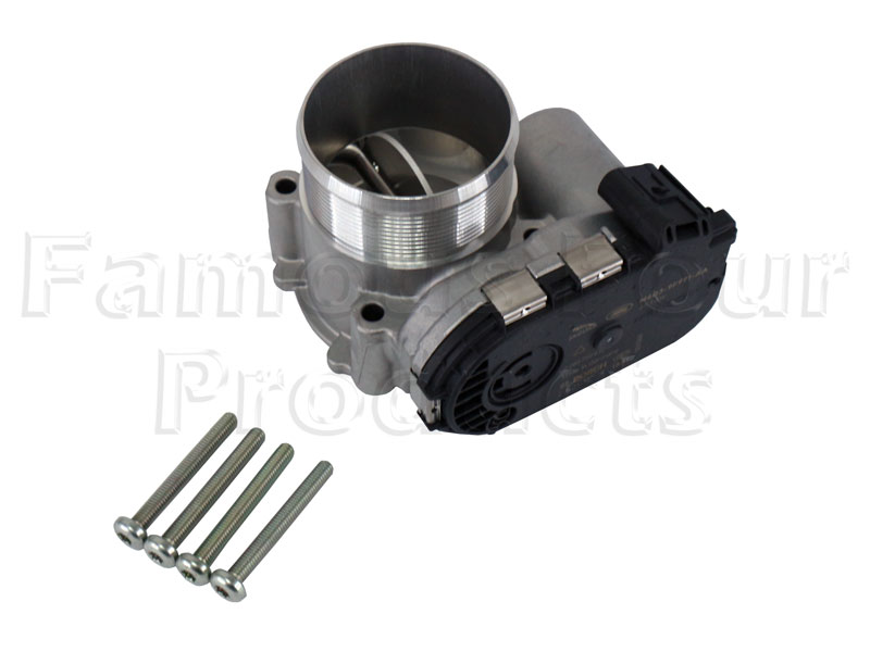 Throttle Body and Motor